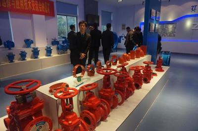 聚焦供水行業閥門技術，共話創新應用未來——國內供水行業常用閥門選擇與應用技術交流會在江蘇溧陽成功舉行